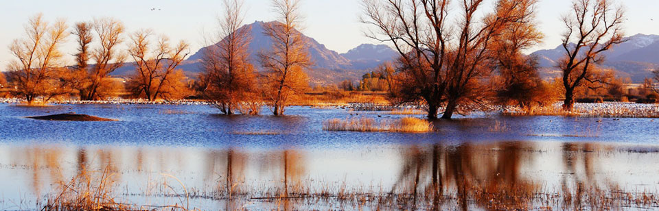 濕地保護(hù)修復(fù)制度方案